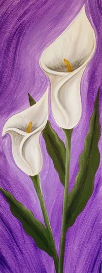 Lovely Calla Lilies